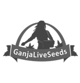 GanjaLiveSeeds