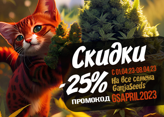 Скидки 25% на семена конопли GanjaSeeds!