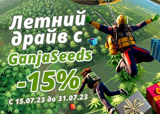 Летний вайб с GanjaSeeds