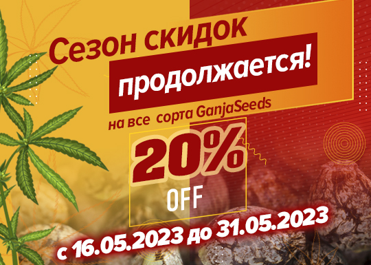 Весенние скидки GanjaSeeds в самом разгаре!