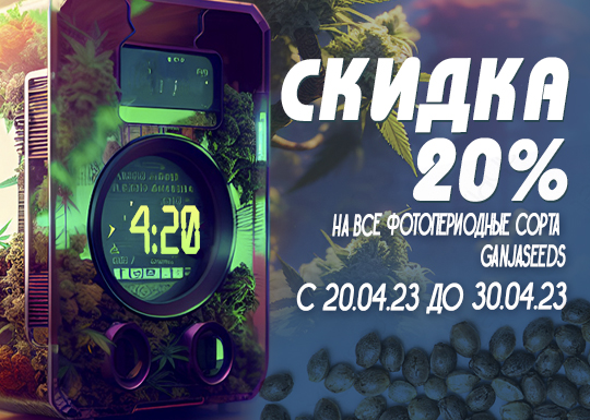 ​В 4:20 с GanjaSeeds!