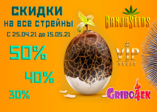 Лучшая оптовая цена на семена GanjaSeeds – от 0,29 евро за 1 семя