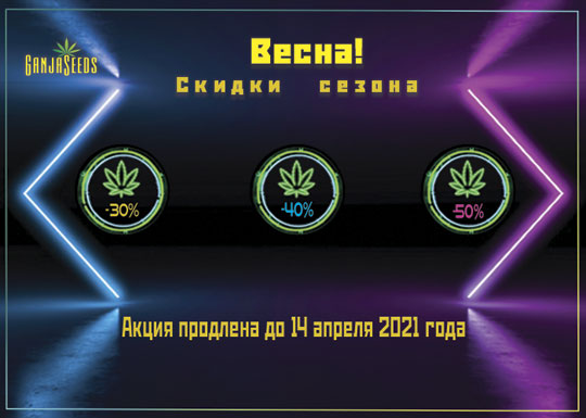 Скидки на семена конопли! Что такое настоящая лояльность GanjaSeeds и как ее использовать