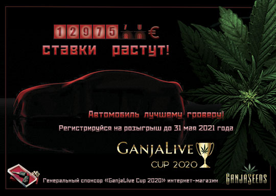 «GanjaLive Cup 2020» - подари себе к лету автомобиль!