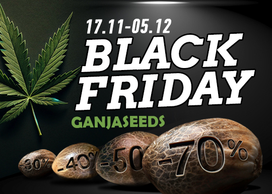 Black Friday с GanjaSeeds в самом разгаре!